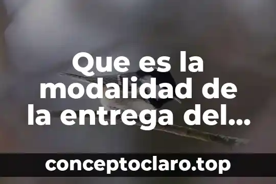 Que es el control de entrega de materiales 7 Que es la modalidad de la entrega del recurso