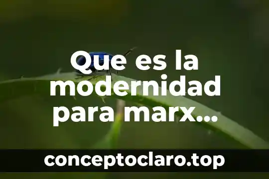 Que es la modernidad para marx weber
