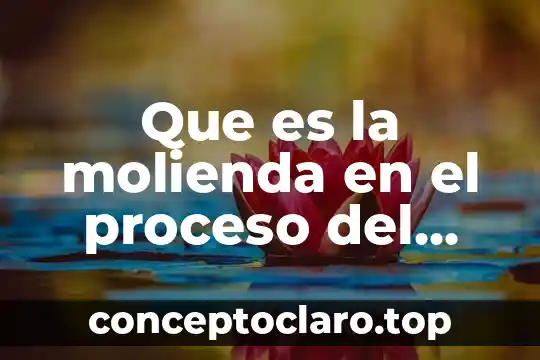 Que es la molienda en el proceso del queso