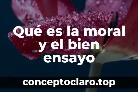 Qué es la moral y el bien ensayo