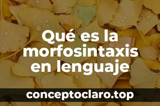 Qué es la morfosintaxis en lenguaje