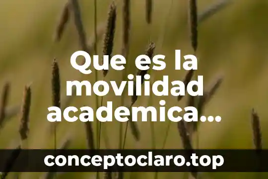 Que es la movilidad academica plan de estudios 2012