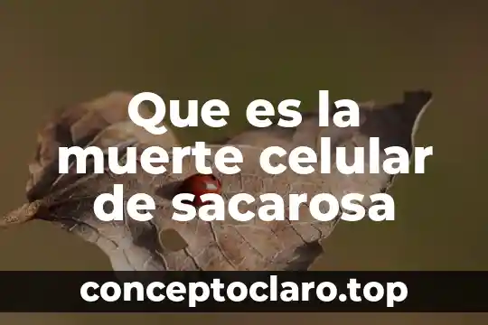Que es la muerte celular de sacarosa