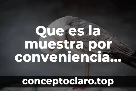 Que es la muestra por conveniencia autores