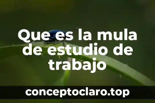 Que es culminar estudio 4 Que es la mula de estudio de trabajo