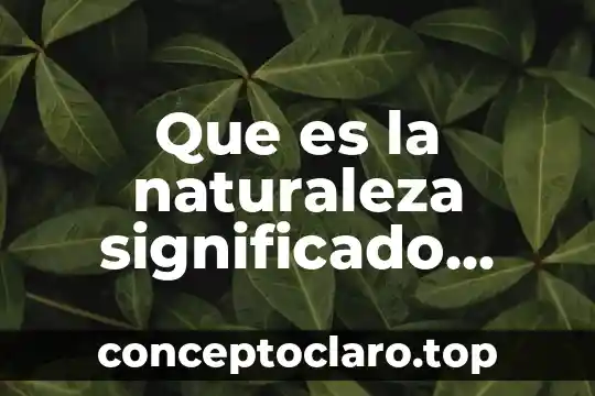 Que es una constumbres para niños 3 Que es la naturaleza significado para niños