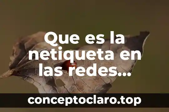 Que es el estructural funcionalismo en las ciencias sociales 5 Que es la netiqueta en las redes sociales