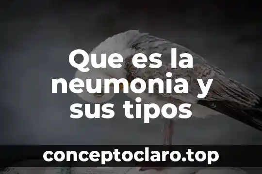 Que es nutriente tipos 5 Que es la neumonia y sus tipos