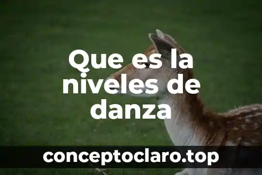 Que es la niveles de danza