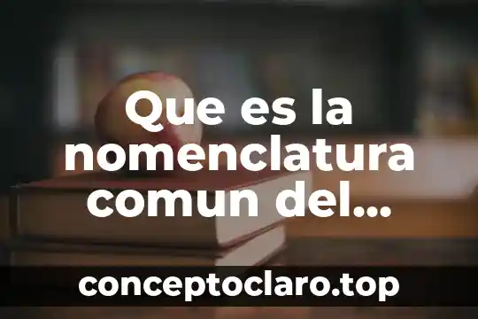 Que es la nomenclatura comun del mercosur