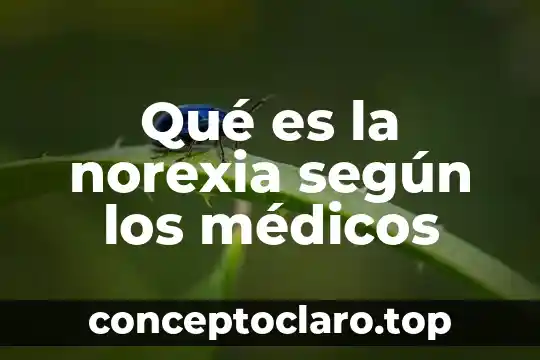 Qué es un deducible en gastos médicos 7 Qué es la norexia según los médicos