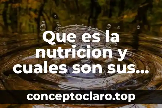 Que es la nutricion y cuales son sus caracteristicas