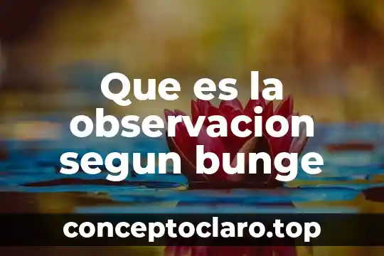 Que es la observacion segun bunge