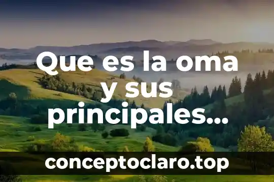 Que es un organigrama funciones 4 Que es la oma y sus principales funciones