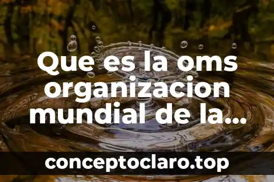 Que es la guerra mundial de los estados unidos 5 Que es la oms organizacion mundial de la salud