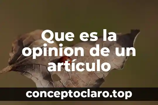 Que es la opinion de un artículo