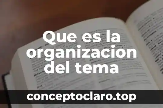 Que es la organizacion del tema