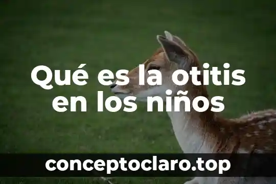 Qué es la otitis en los niños