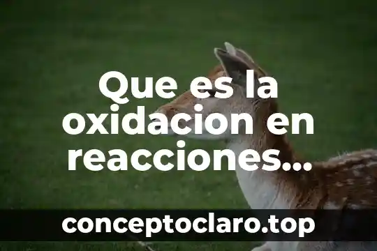 Que es la oxidacion en reacciones quimicas