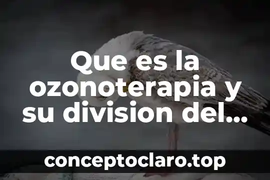 Que es la ozonoterapia y su division del sistema nervios autonomo