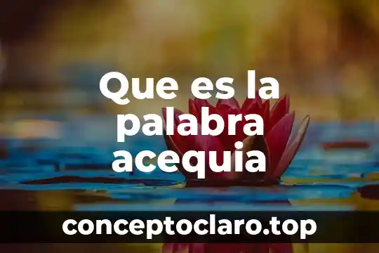 Que es la palabra acequia