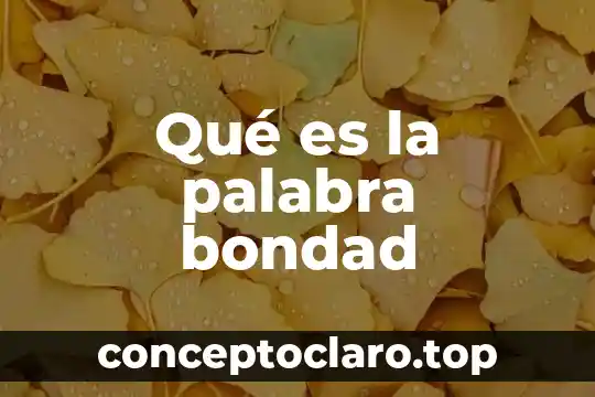 Qué es la palabra bondad