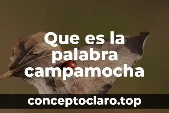 Que es la palabra campamocha
