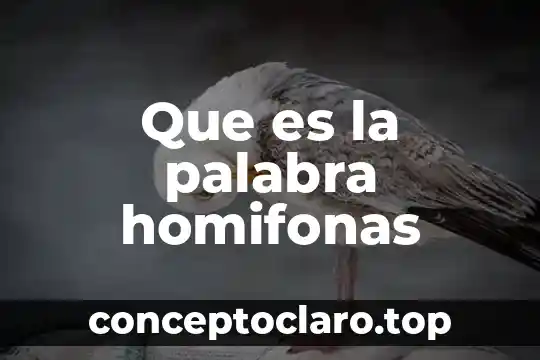 Que es la palabra homifonas