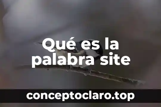 Qué es la palabra site