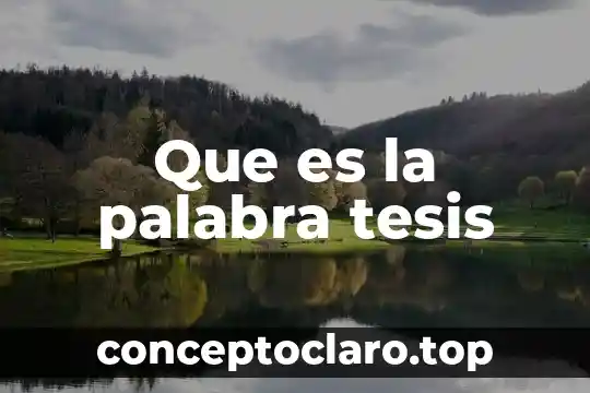 Que es la palabra tesis