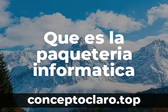 Que es la paqueteria informatica