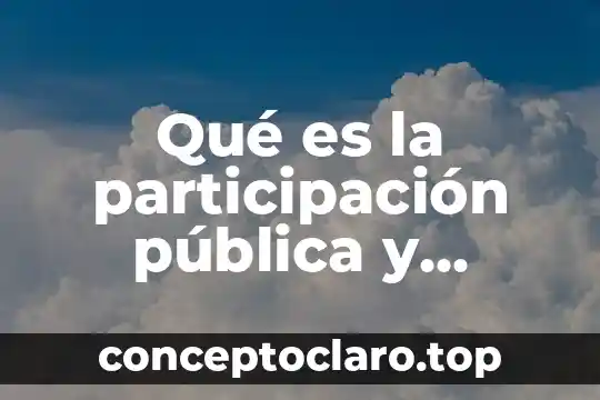 Qué es la alianza ciudadana en México 3 Qué es la participación pública y ciudadana