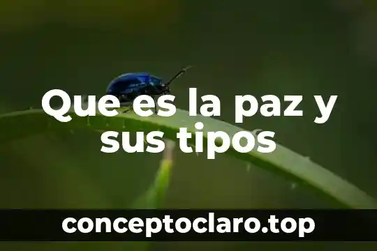 Que es la paz y sus tipos
