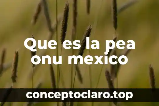 Que es la pea onu mexico