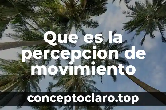 Que es la percepcion de movimiento