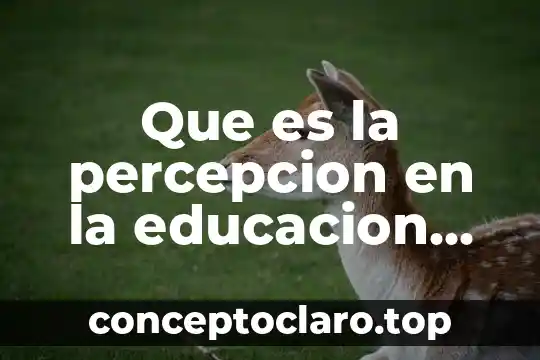 Que es los doctores de los niños 8 Que es la percepcion en la educacion de niños