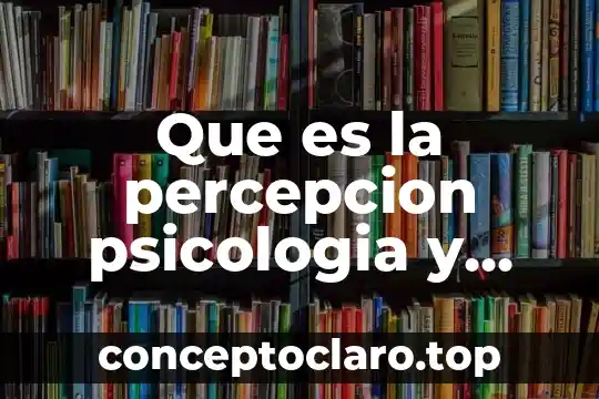 Que es la percepcion psicologia y mente