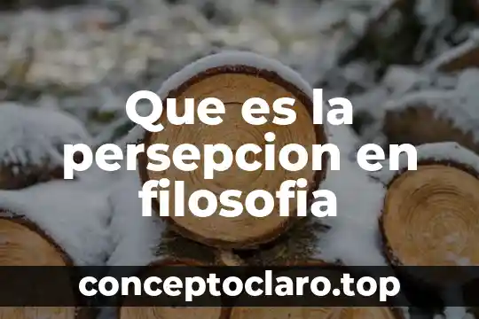 Metodologia filosofia que es 5 Que es la persepcion en filosofia