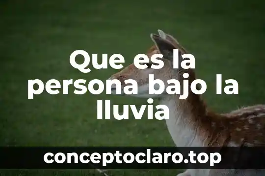 Que es la persona bajo la lluvia
