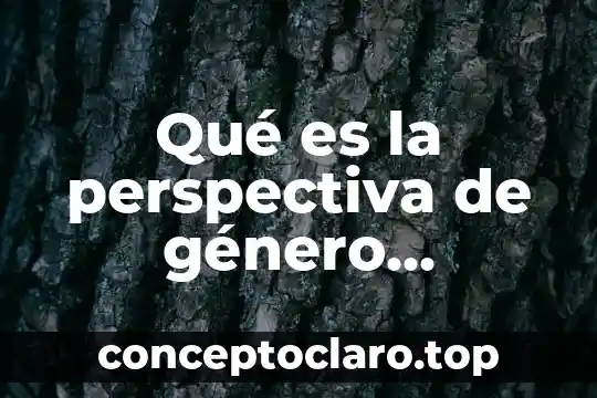 Qué es la perspectiva de género principios fundamentales