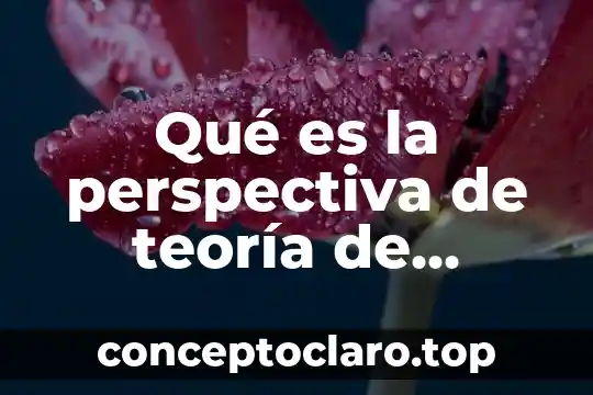 Qué es la perspectiva de teoría de campo