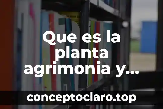 Que es la planta agrimonia y para que sirve