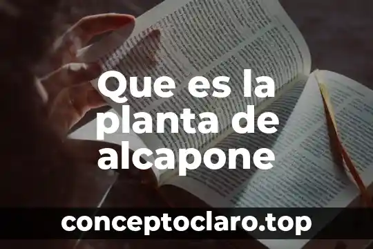 Qué es una planta híbrida 6 Que es la planta de alcapone