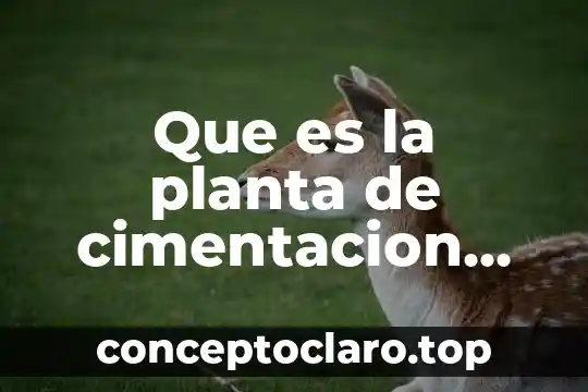 Que es la planta de cimentacion arquitectonica