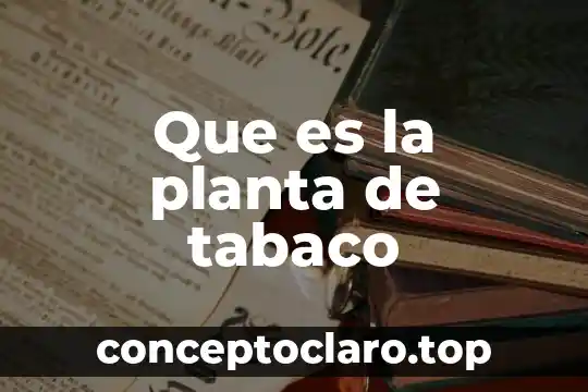Que es la planta liberiana 7 Que es la planta de tabaco