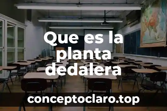 Que es la planta dedalera