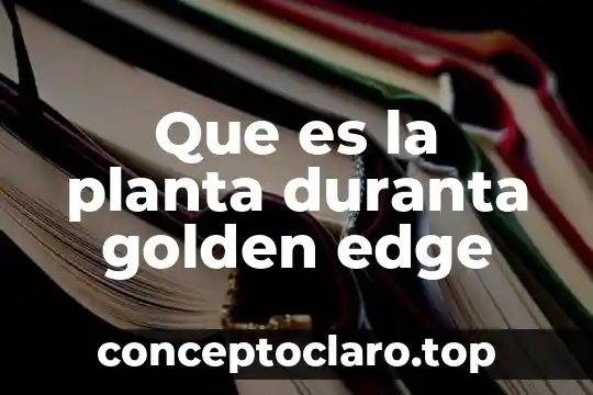 Que es la planta duranta golden edge