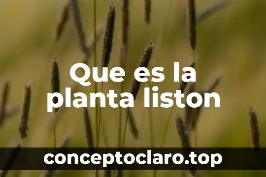 Qué es la yema de una planta 3 Que es la planta liston