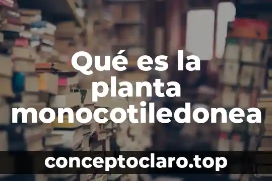 Qué es una planta híbrida 3 Qué es la planta monocotiledonea