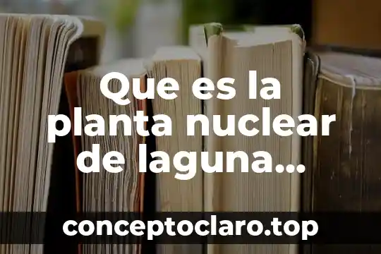 Qué es una planta híbrida 4 Que es la planta nuclear de laguna verde